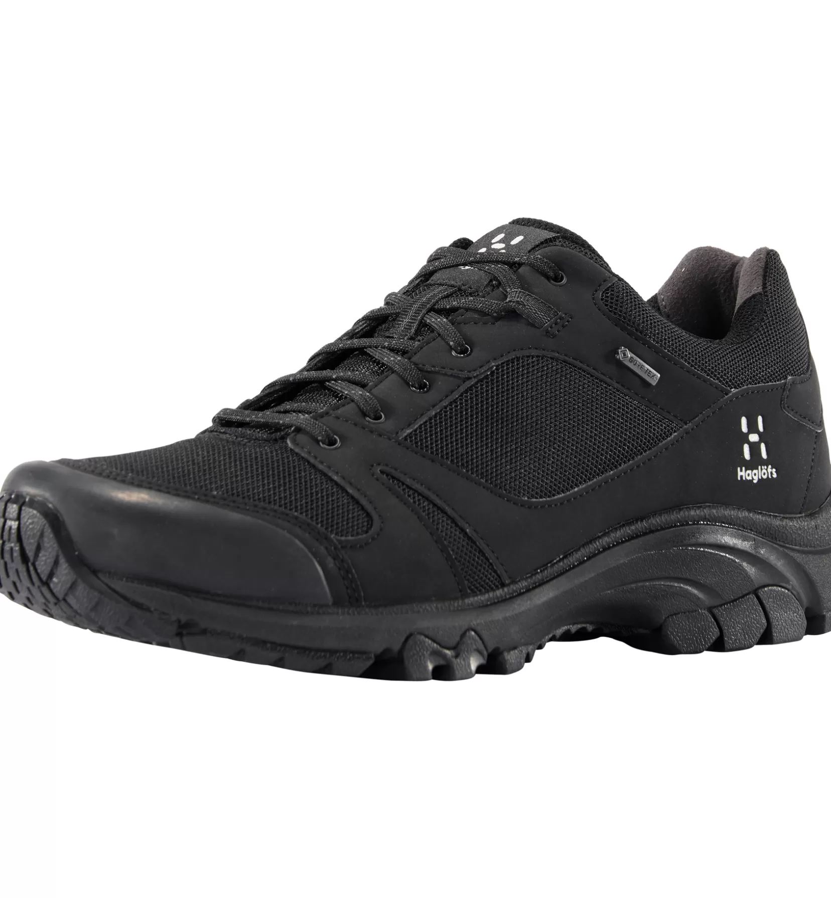 Fashion Ridge Synthetic GTX Low Men Waterproof Shoes | Everyday Shoes