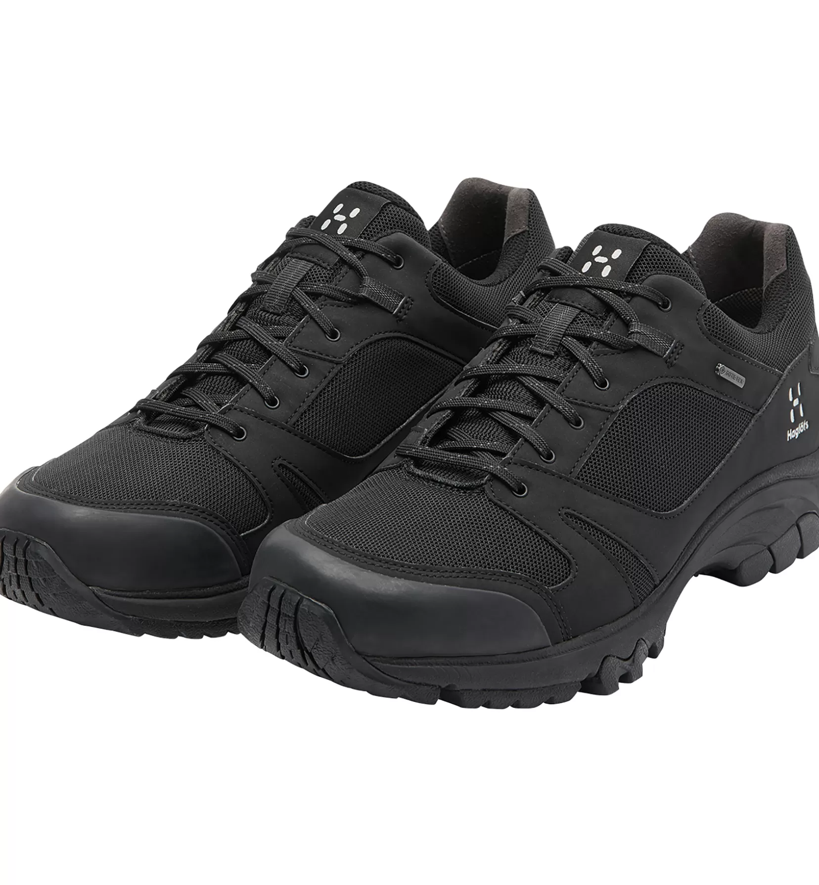 Fashion Ridge Synthetic GTX Low Men Waterproof Shoes | Everyday Shoes
