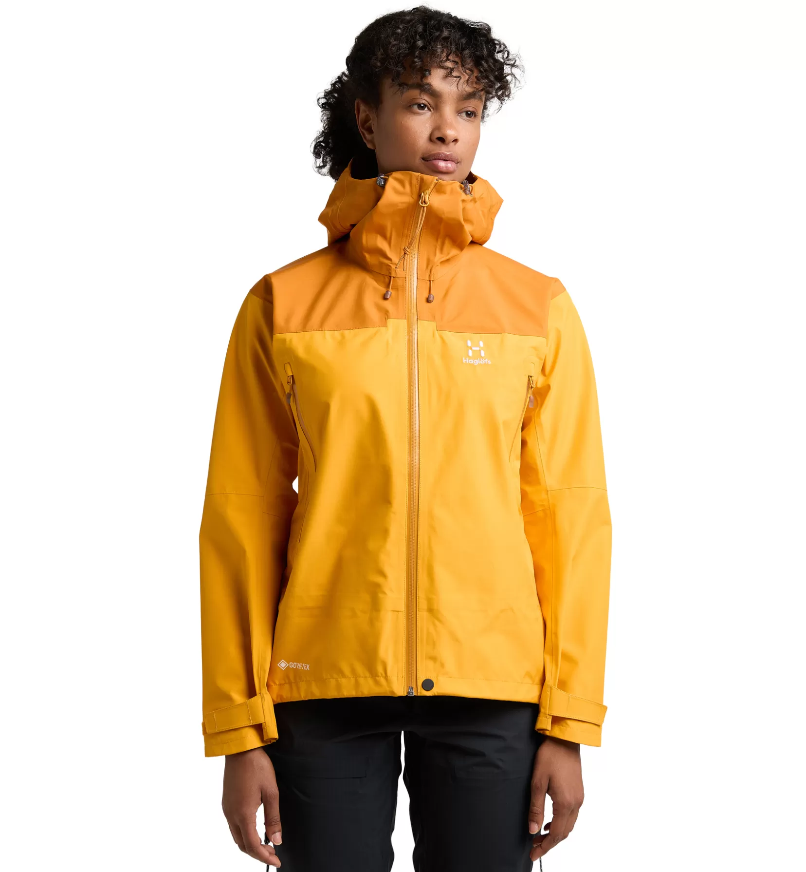 New ROC Flash GTX Jacket Women Women Jackets | Mountaineering
